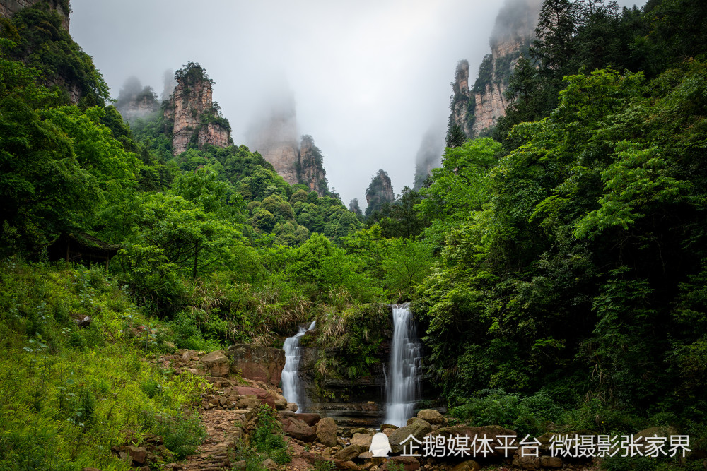 尋找最美風景獻禮建黨100週年 楊家界景區圖片評選結果公示