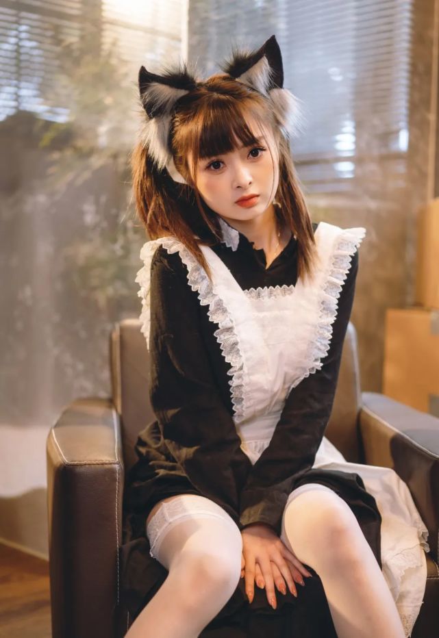 双马尾女仆丨这只猫咪我要带回家