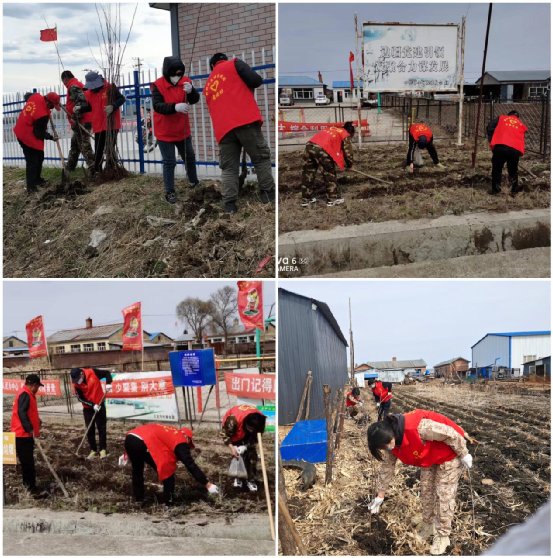 『爱国卫生运动』孙吴县卧牛河乡:植树造林添新绿 志愿活动添新彩