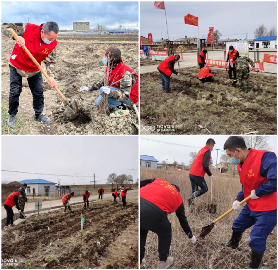 『爱国卫生运动』孙吴县卧牛河乡:植树造林添新绿 志愿活动添新彩