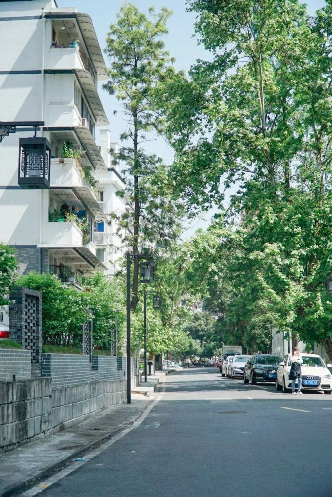 乐山这条宝藏街道很多人都没去逛过