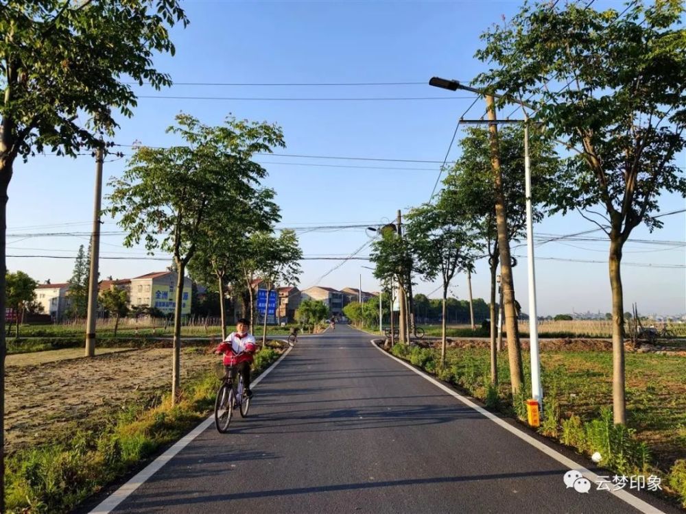 美丽乡村乡村道路颜值高