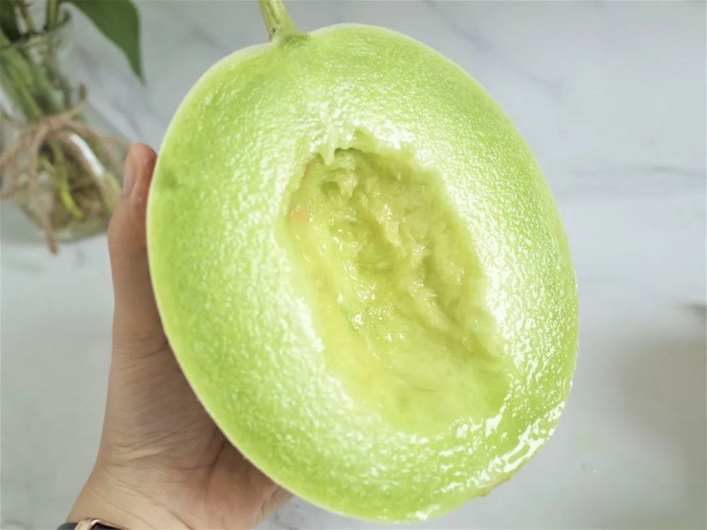 强烈推荐这款"冰淇淋甜瓜"!_腾讯新闻