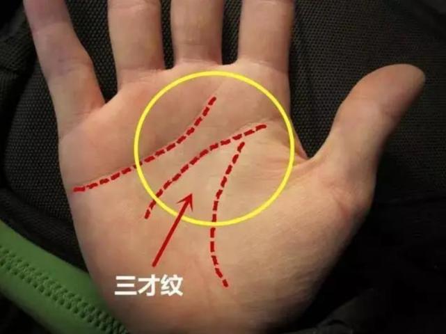 真假断掌好分辨吗?