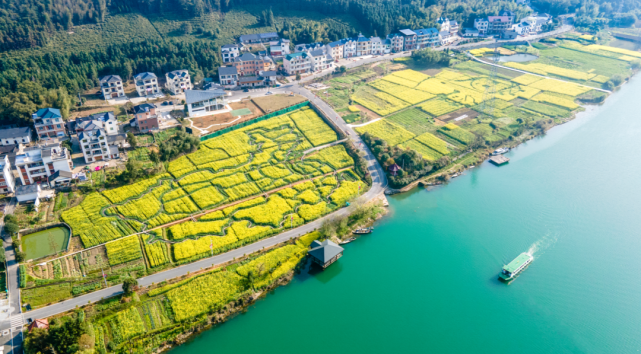 常山获评浙江省实施乡村振兴战略实绩考核优秀单位|常山县|浙江|乡村