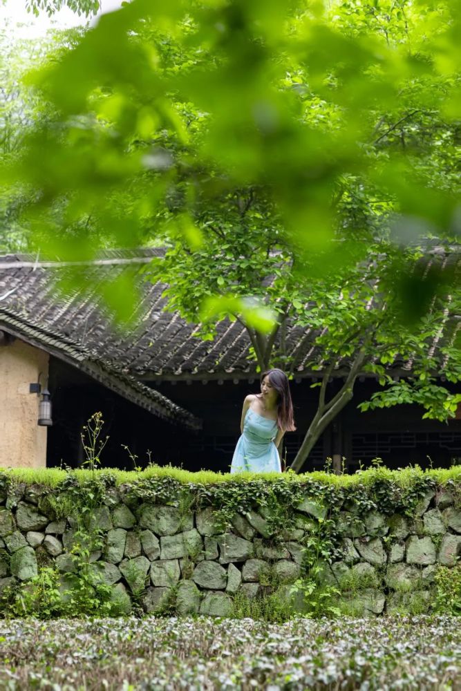 法雲安縵|禪意風雅至簡至美,於綠樹竹林間做一個江南隱者_騰訊新聞