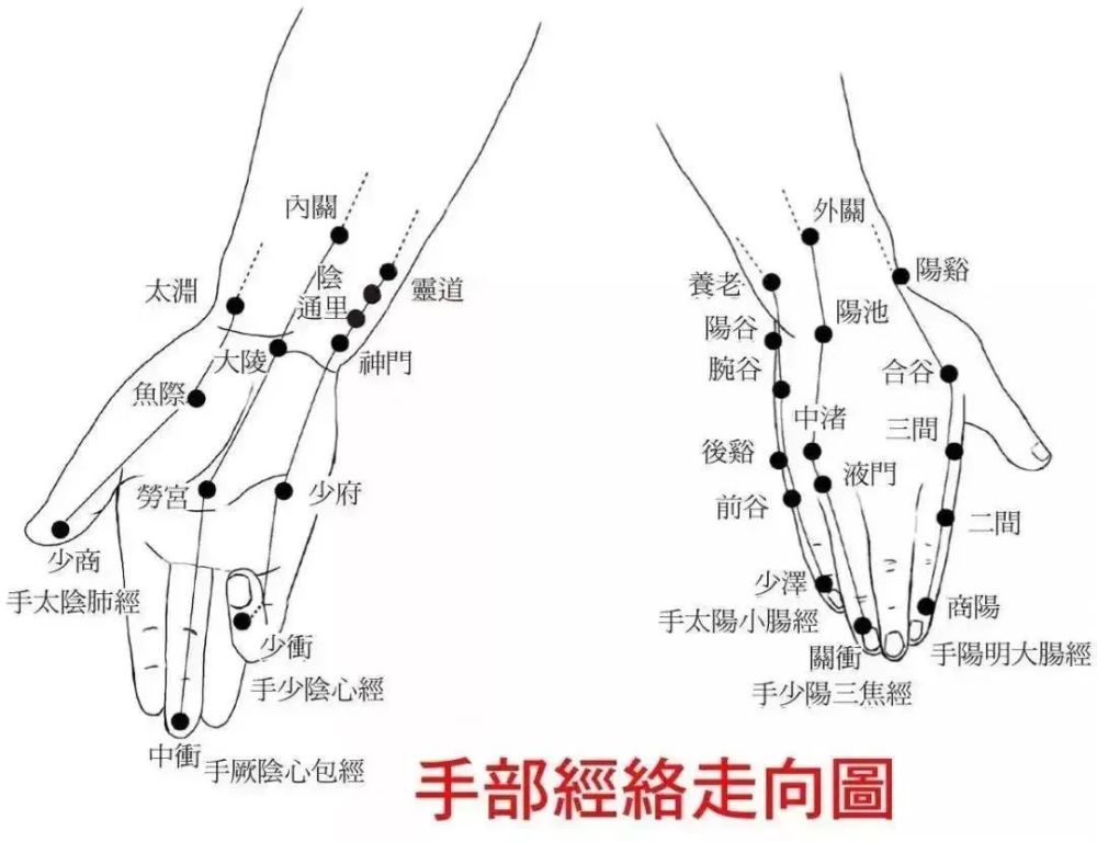 一手養五臟六腑96歲國醫都愛用調全身防百病不看太虧