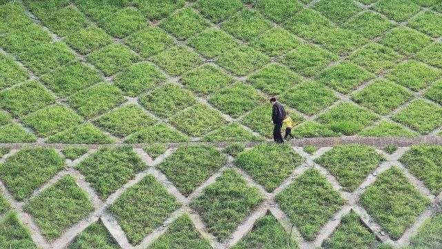 利用钢筋混凝土格构框架将边坡表面分割成