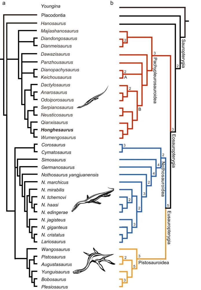 作者:徐光辉校审:侯韡鸿排版:肖   潇本文来自中国科学院古脊椎动物与