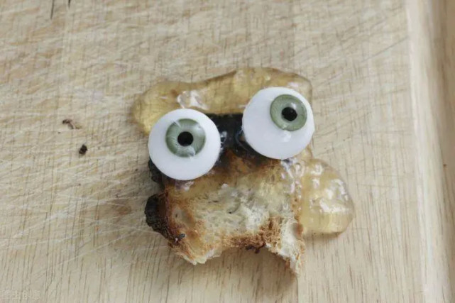 义眼台的材质有哪些