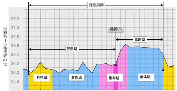 女性减肥须知:正确面对生理期