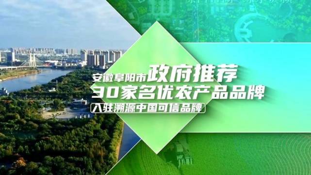 和乡村振兴,助力阜阳在追赶跨越,勇当皖北振兴排头兵中奔跑得更快更稳