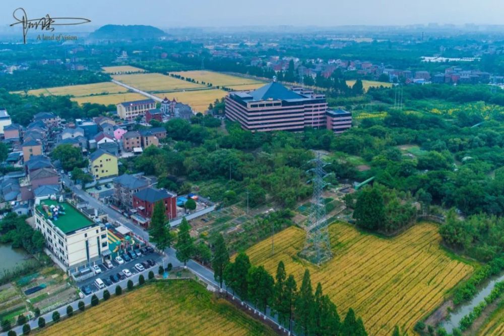 品乡野清风之韵做杭州的麦田守望者可以去良渚大陆村