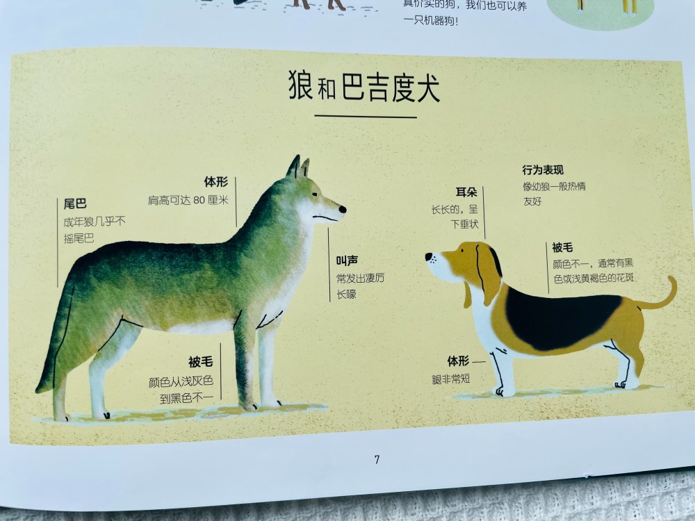 当孩子问狗是怎么来的一定认真对待抓住教育孩子的好时机