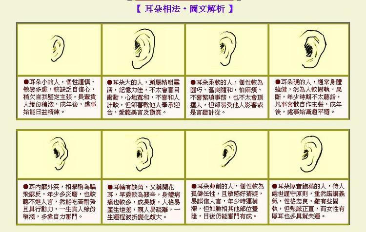 这8种耳朵的形状暴露了一个人的性格一看便知