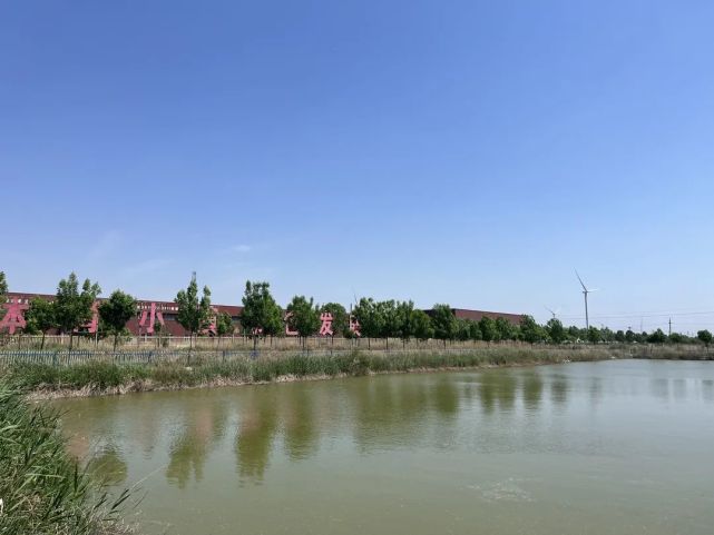 庆云县崔口镇池塘有了"身份证" 解决村庄大难题