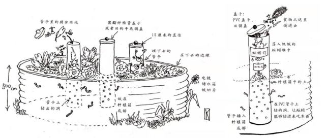 如果想要一個通過吸引蚯蚓來改善土壤的辦法,那非蚯蚓塔莫屬了,製作