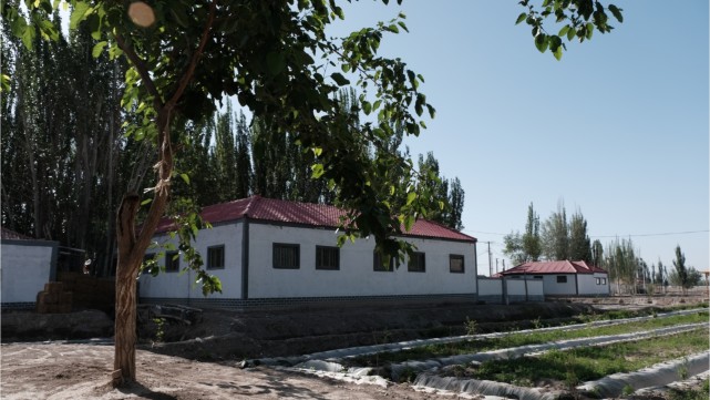 岳普湖乡村容村貌(央广网发 李磊 摄)据了解,为提升村级组织服务功能