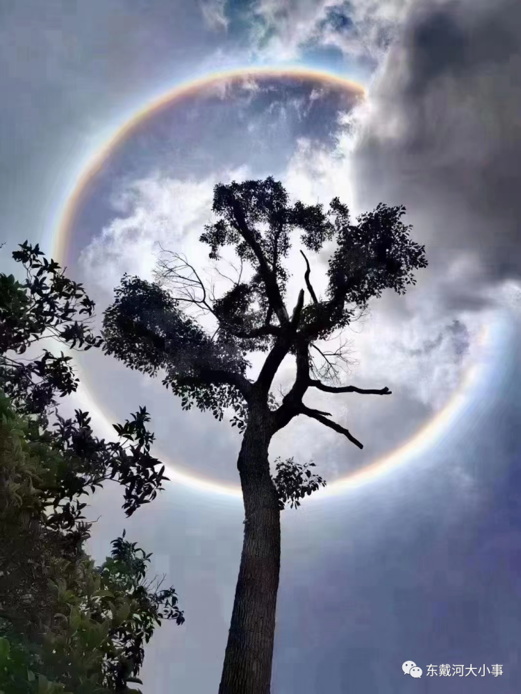 今日葫芦岛多地出现天象奇观!