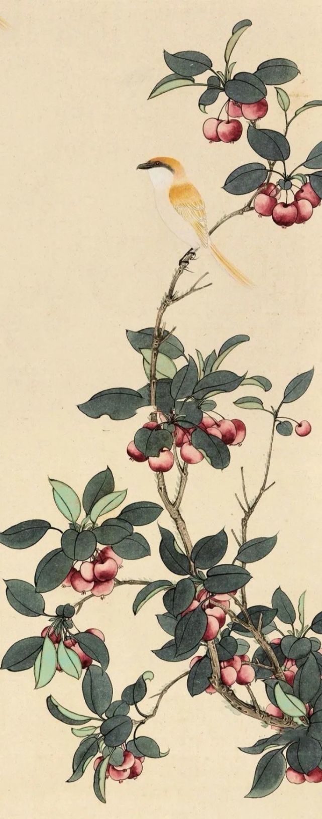 于非闇工笔花鸟