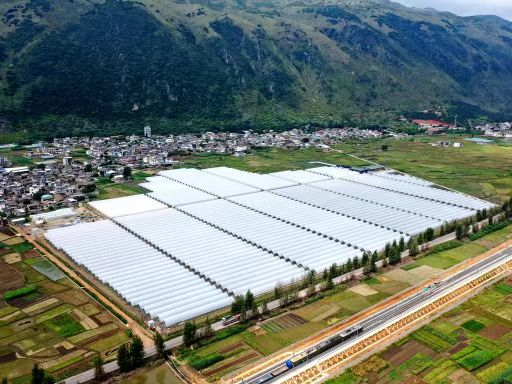 【朋普镇党委书记 朱颖】:田园综合体项目落户朋普镇后,我们秉持"企业