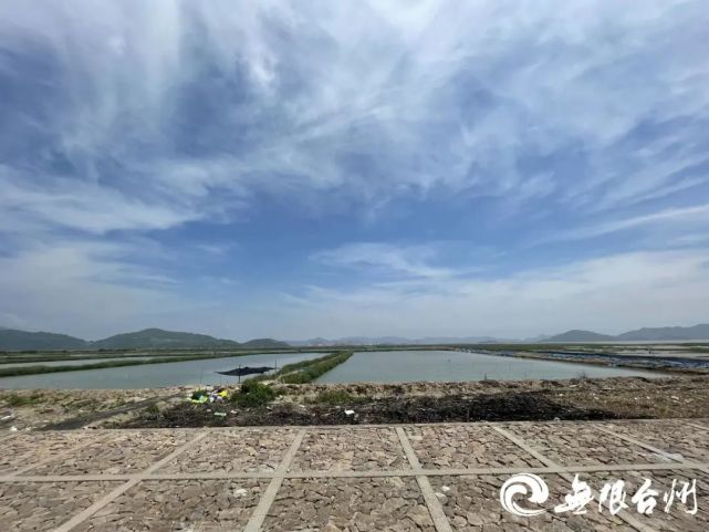 三江汇海塘安澜工程图片