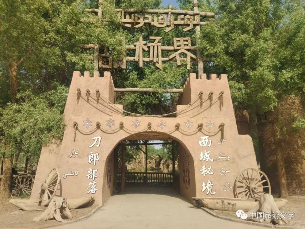 行走丨刀郎部落印象