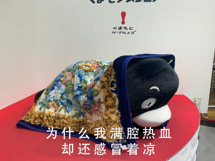 熊本熊表情包为什么我满腔热血却还会感冒着凉
