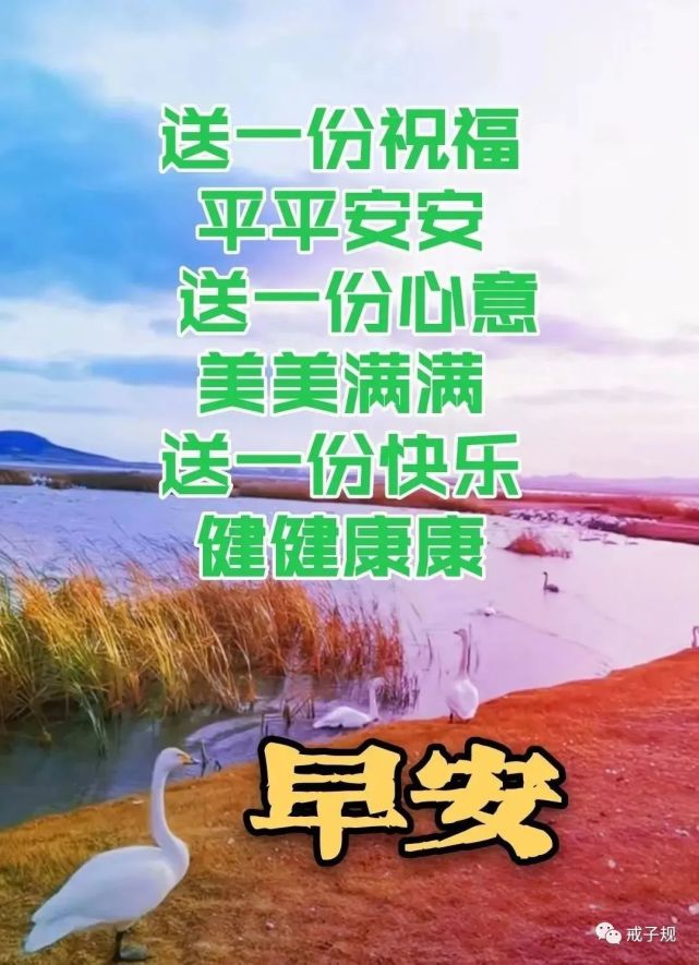 23張漂亮的早安圖片,問候朋友早上好的唯美祝福圖