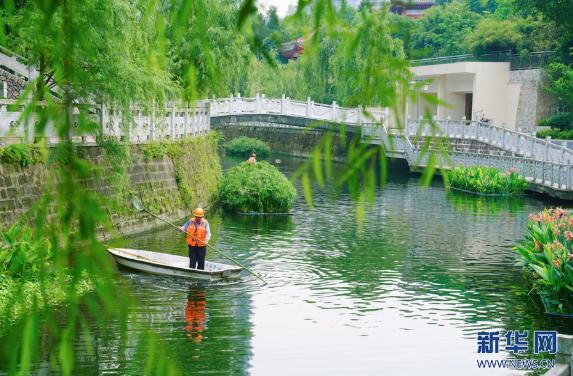 新华社点赞永川一条城市母亲河的绿色新生(图3)