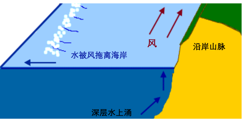秘鲁的上升流模式图秘鲁渔场当然,这种靠天吃饭的行为有时候并不靠谱