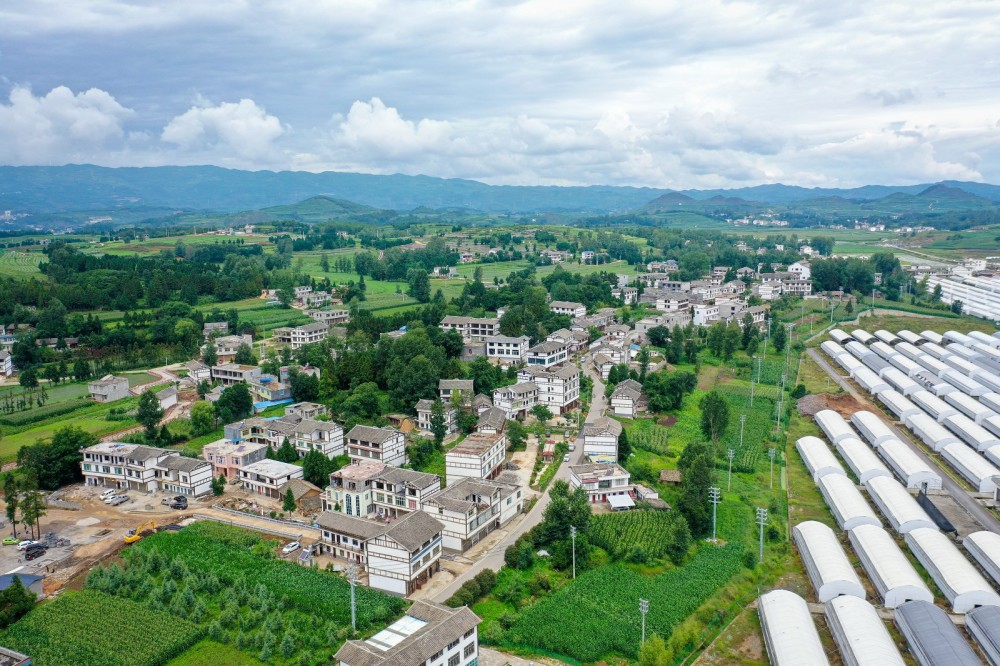 威宁自治县草海镇同心村门前的雪榕食用菌千亩大棚基地.