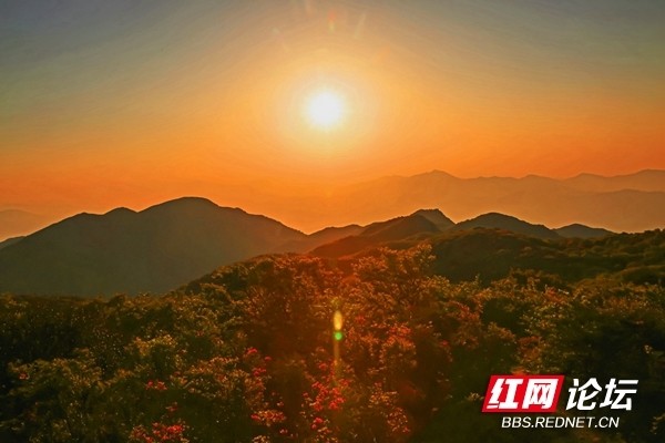 陪你看日出我在大围山七星峰等你