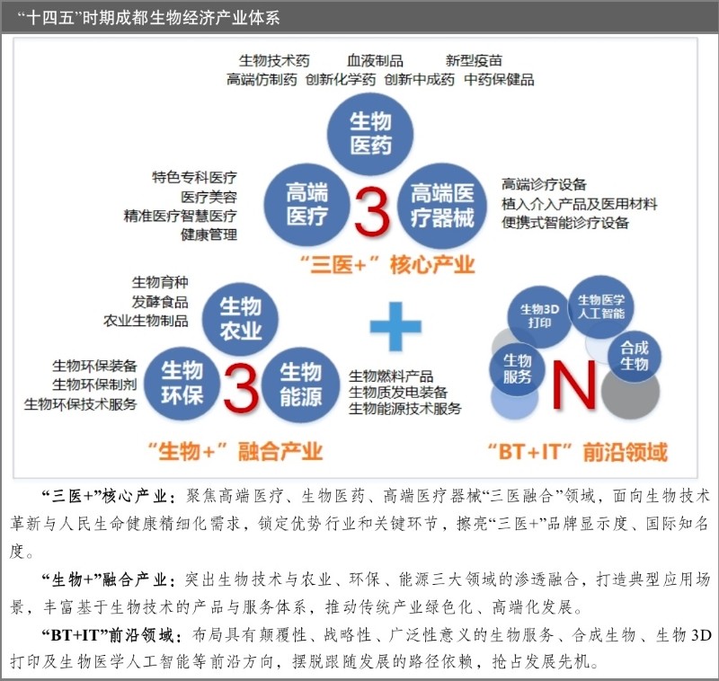 生物技术研发：推动生命科学的前沿发展