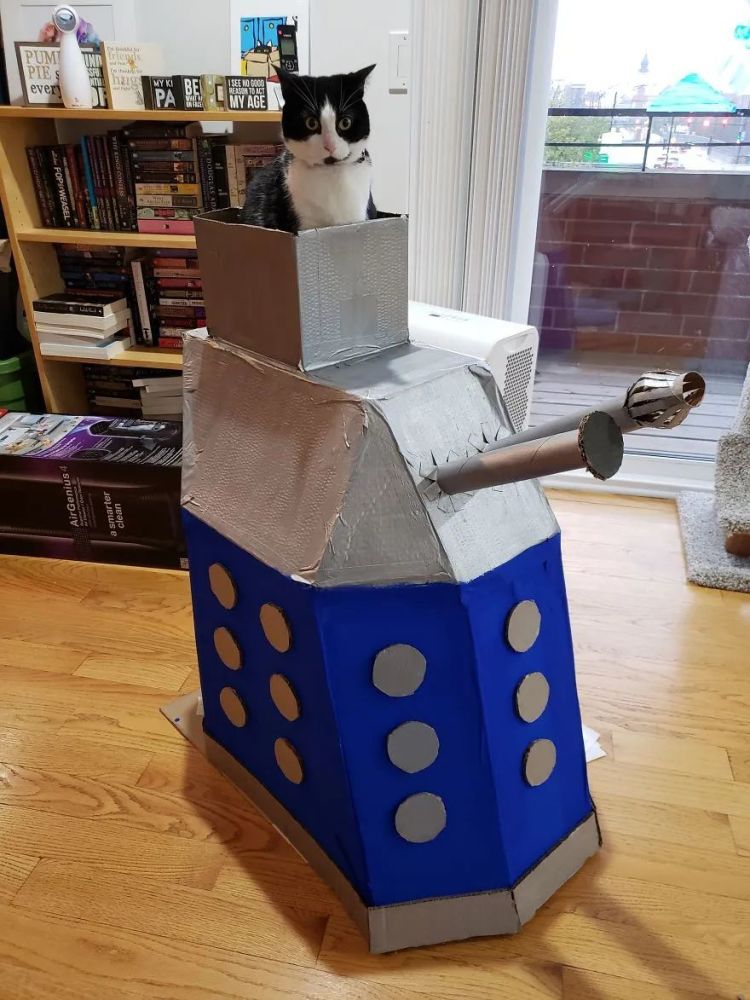太卷了为了取悦猫主子世界各地网友用快递纸箱做出各种逆天猫城堡和