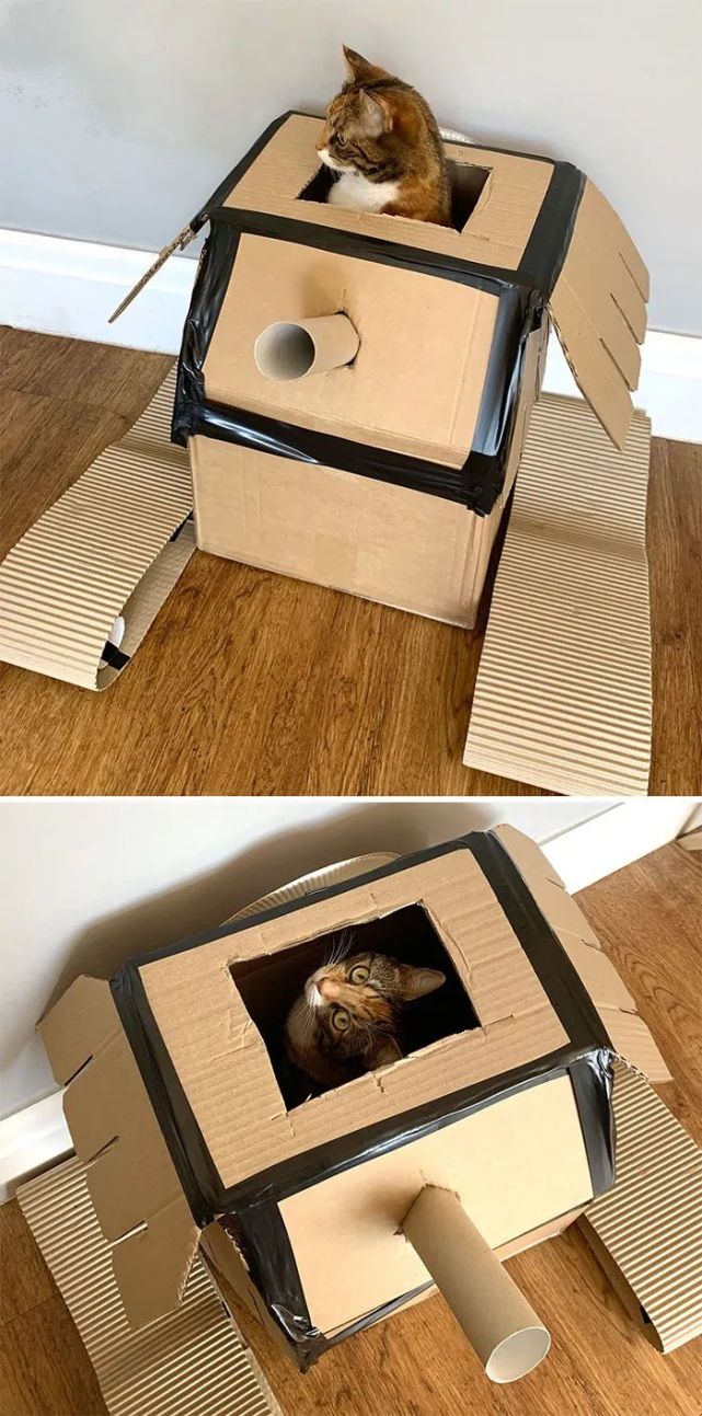 为了取悦猫主子,世界各地网友用快递纸箱做出各种逆天猫城堡和坦克,大