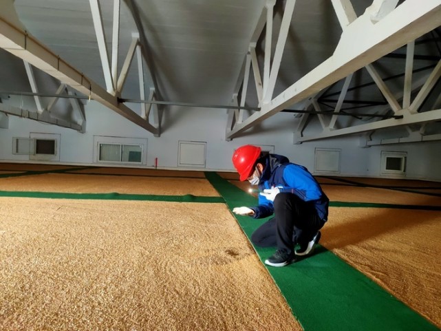 而在糧食深加工領域,眾多魯企已給出諸多將糧食吃幹榨淨,減少附產物