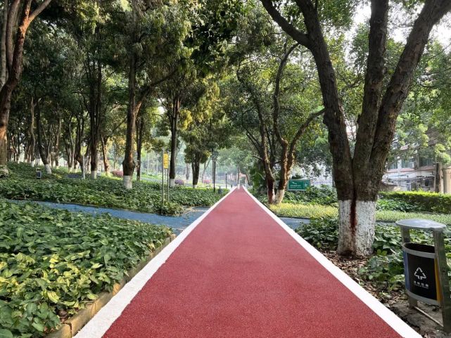 百色人民公园休闲健康新步道开建