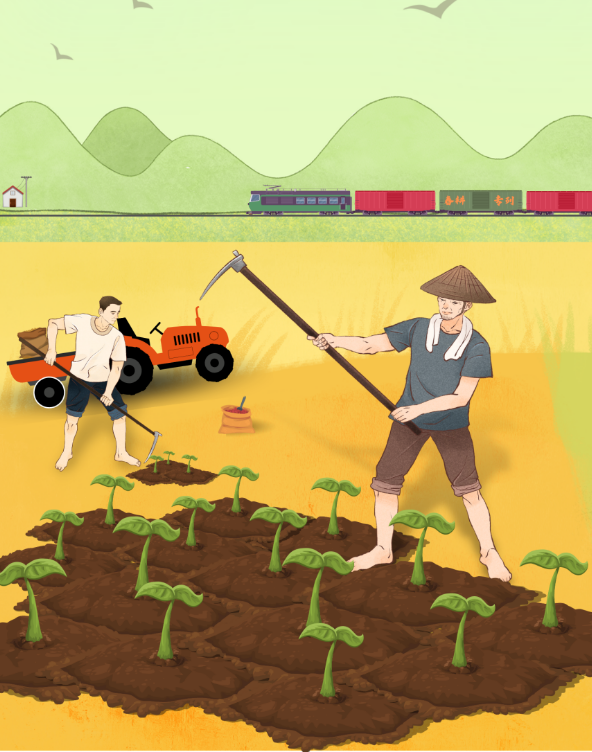 "插秧专列"满载着百姓播种希望