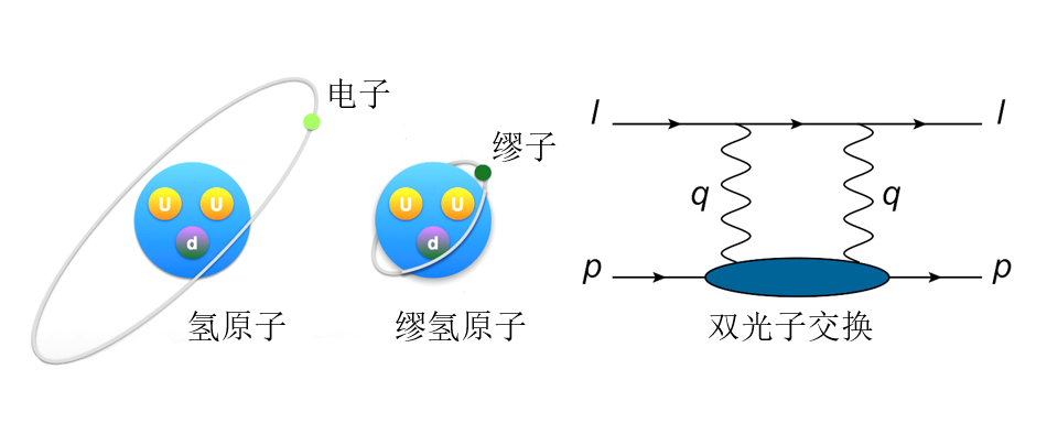 利用格点量子色动力学北大物理学院取得缪氢原子光谱研究突破