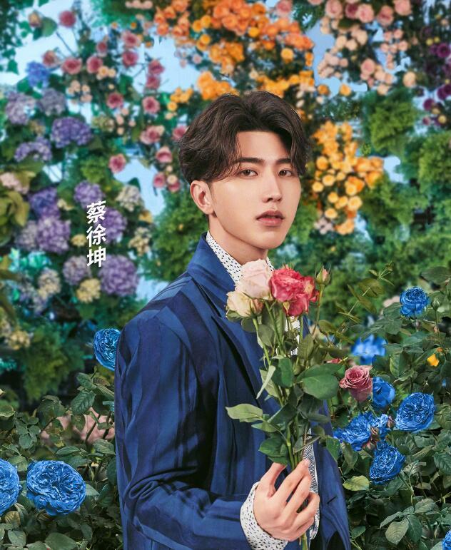 蔡徐坤baby花海唯美大片曝光,看到拍摄实景,导演用心良苦了插图