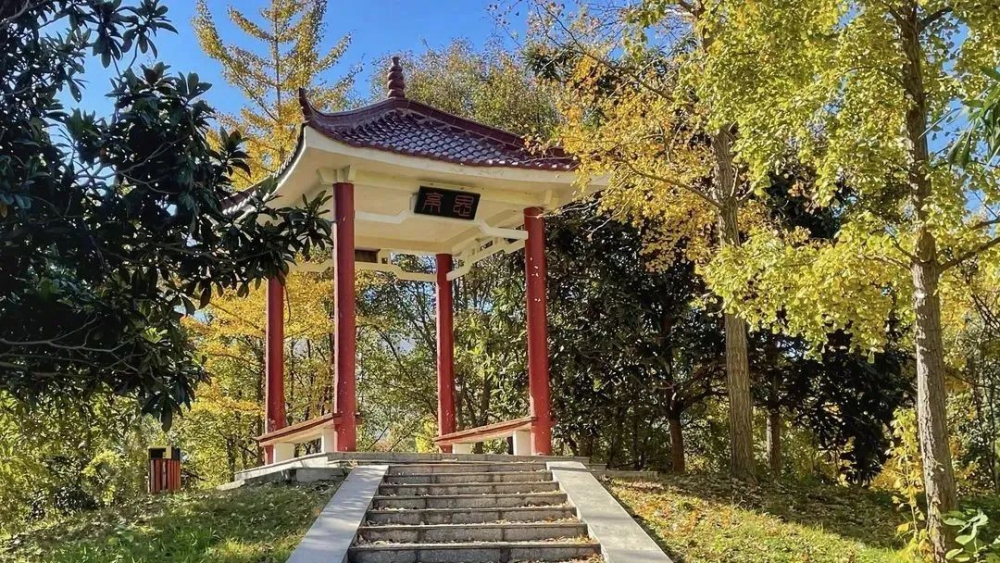 2022直击高招河南师范大学2022年普通全日制本科招生章程发布