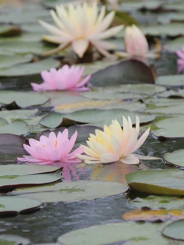 花樣宿遷美出圈