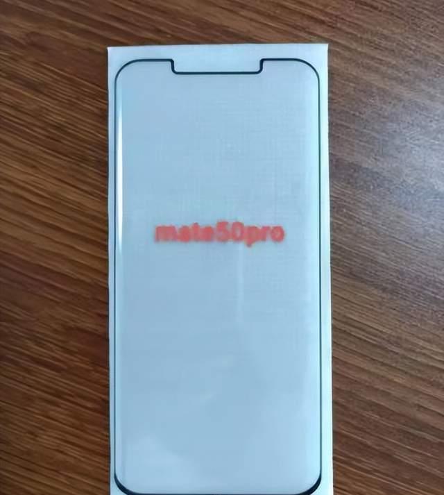 Mate 50还是iPhone 14？下半年高端手机即将风云再起_https://www.jinrisc.com_站长资讯_第1张