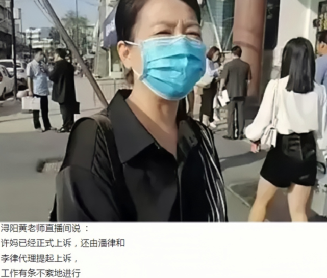 许敏已上诉由李律师代理称不会被某人击垮专业事由专业人做