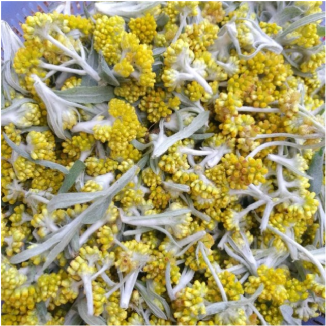 80岁奶奶给他做小吃,却被朋友笑话拿不出手|何文杰|云南|粑粑|花生