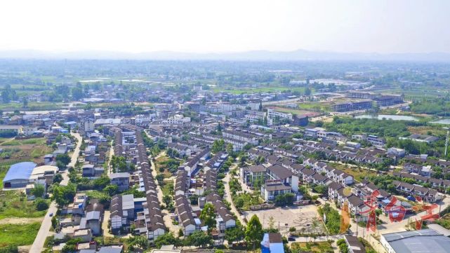 青白江镇街发展图鉴丨诗意乡村 田园姚渡