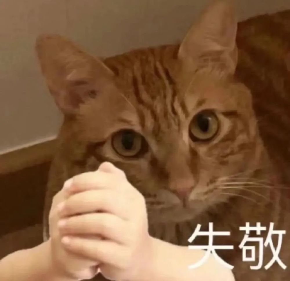 1 2你几个意思是我不配吗狗子:你看我像不像那个表情包1 3有没有明白