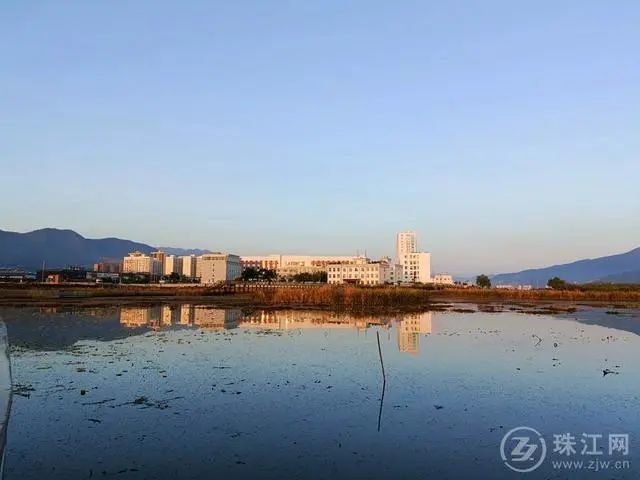 會澤蔓海公園一池朝霞惹人醉