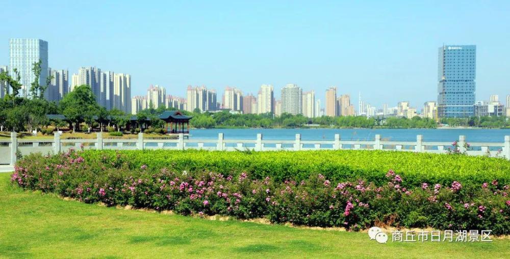 商丘市日月湖景区:夏日小赏_腾讯新闻